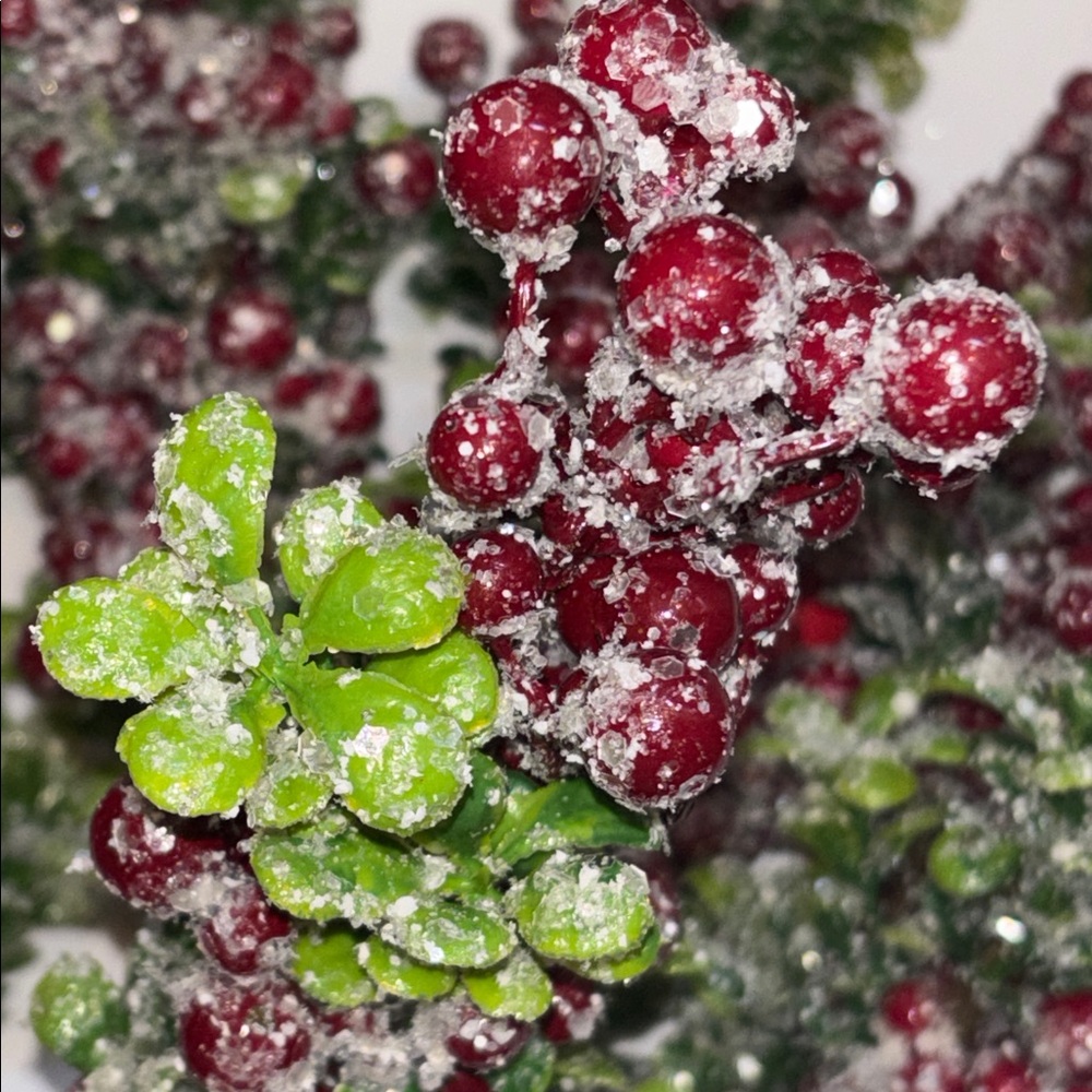 Snow Frosted Red Berry Stems Glitter Red Berries Eucalyptus Picks Set of 12 NWT - Picture 6 of 16